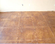 Stained Concrete IMAGE6